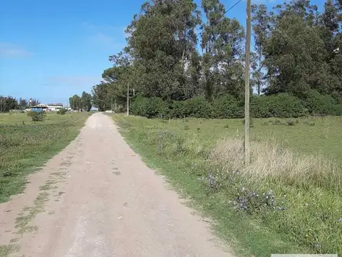 54 y 39
