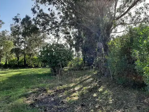 Terreno en Venta 43  mts Frente