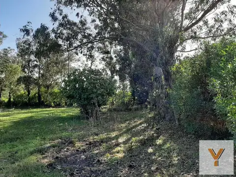 Terreno en Venta 43  mts Frente