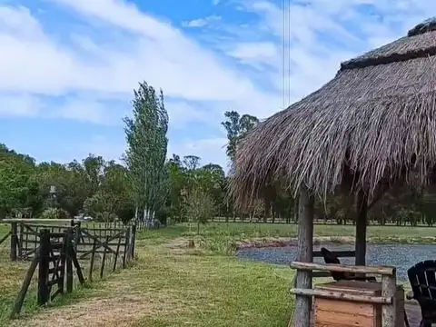 Campo en Venta de 15 Ha. 3 casas, 2 piletas, Caballerizas. Corrales. Exaltación de la Cruz.