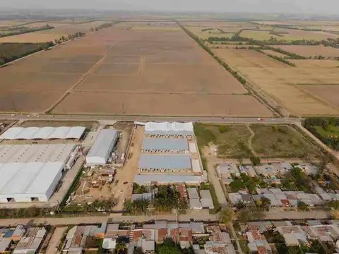 Ruta Provincial 301 100