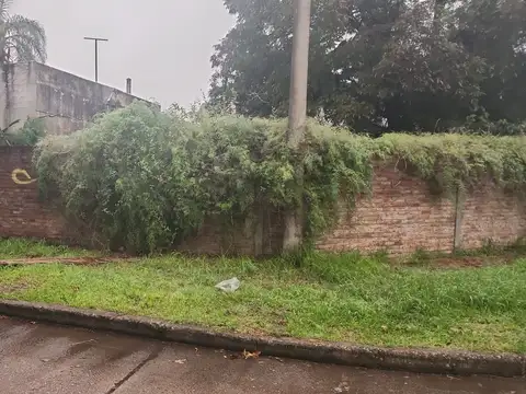AGUSTIN ALVAREZ Y TACUARI