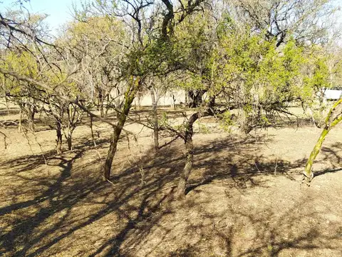 Terreno en Venta en Santa Mónica, Calamuchita
