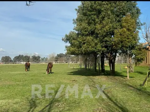 VENTA LOTE HARAS EL MALACATE EXALTACIÓN DE LA CRUZ