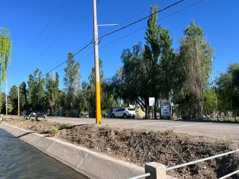 CARLOS PELLEGRINI FRENTE A SAN JUAN RUGBY 100