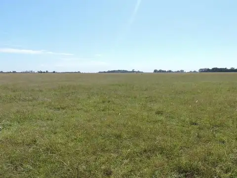 Campo en venta mixto en San Vicente 160 has