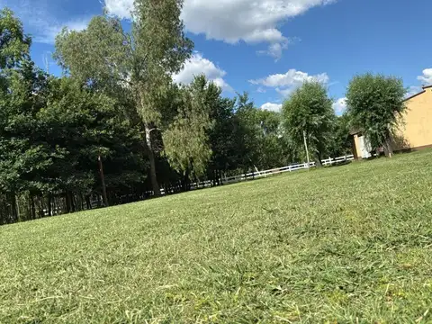 Terreno en Venta de 800,0 m2