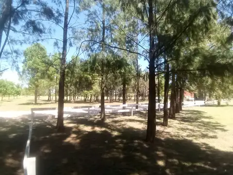 Terreno en Venta de 800,0 m2