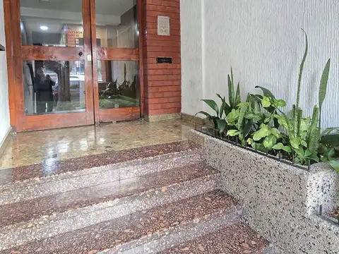 Remedios de Escalada de San Martin 100