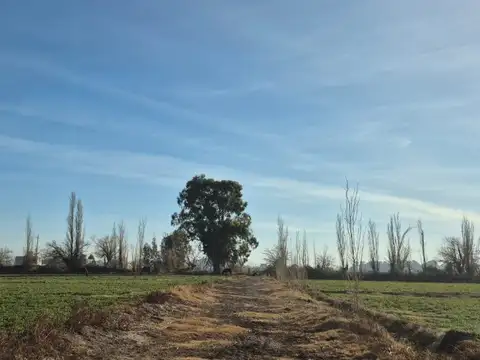 TERRENOS/FRACCIONES/LOTEOS - LOTEOS - ZONA NORTE, RAWSON