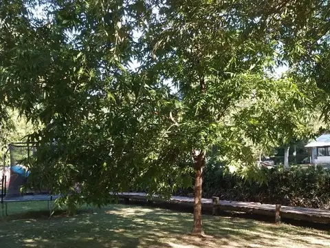 VENTA CASA Y CABAÑA DELTA TIGRE - RIO SARMIENTO