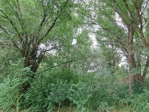 Terreno en Venta de 3187,0 m2