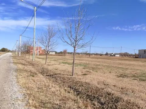 Terreno en Venta de 1600,0 m2