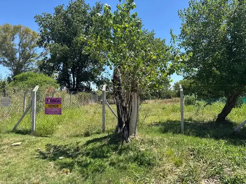 Oportunidad: 2 Lotes de 300 m² Cada Uno – A 1 Cuadra y Media del Acceso Oeste