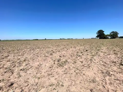 Campo en  Sodini / Santa Fe al 0