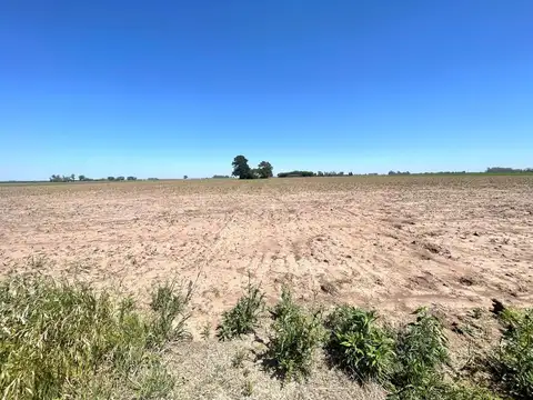 Campo en  Soldini / Santa Fe al 0