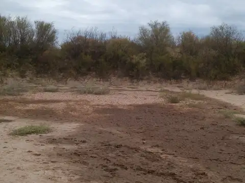 CAMPO EN VENTA LAVALLE - PRODUCCIÓN AGRÍCOLA GANADERA EÓLICA-