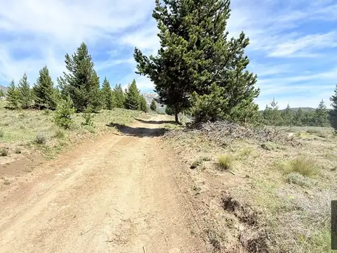 Lotes Arroyo del medio