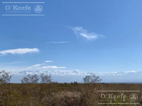 Campo en venta 1400 has en fracciones Zapata, Mendoza. Apto Cultivos Extensivos  
