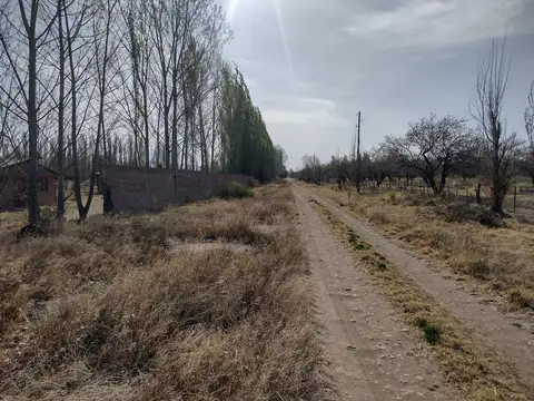 Terreno en Venta de 6000,0 m2