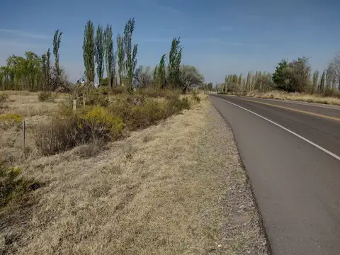 Terreno en Venta de 6000,0 m2