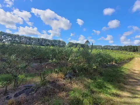 Excelente campo muy buena ubicación.