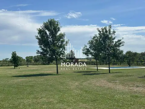 Haras El Malacate 100