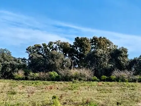 Excelente lote de 2.377 m2 en venta en Los Cardales rodeado de Barrios Cerrados