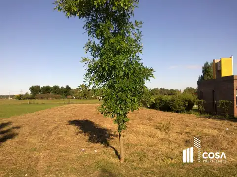 Terreno en Venta 20  mts Fondo