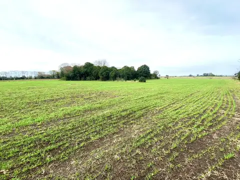 Terreno en Venta 288  mts Fondo