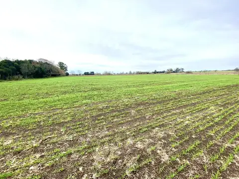 Entre Chenaut y Andonaegui