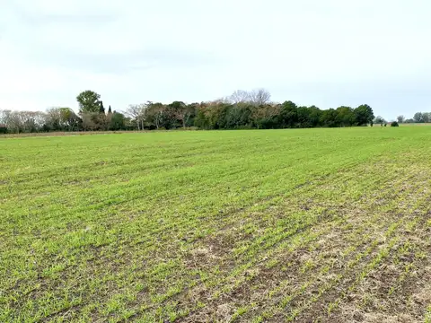 Terreno en Venta 88  mts Frente