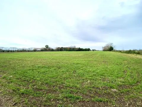 Chacrita 2,5 Has.  Exaltación de la Cruz