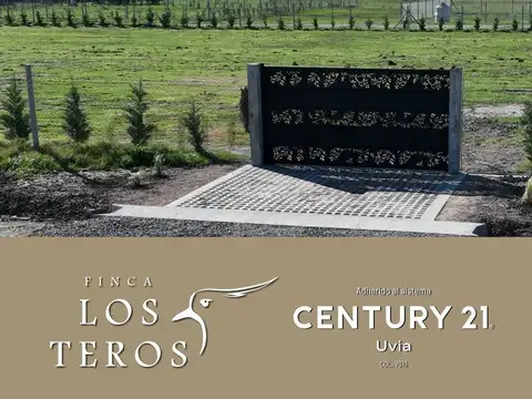 Terreno en Venta 37  mts Fondo