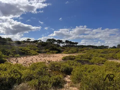 Terreno en Venta 20  mts Fondo