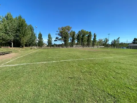 Santa Guadalupe 100