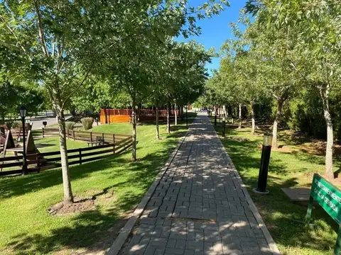 Casa  en Alquiler en Santa Guadalupe, Pilar del Este, Pilar