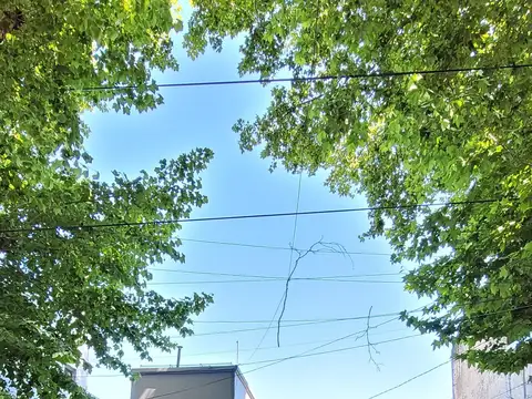 Intendente Neyer 800