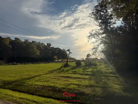 Venta · Campo de 4ha · Arbolado · Monte Hoffmann · Exaltación de la Cruz 100