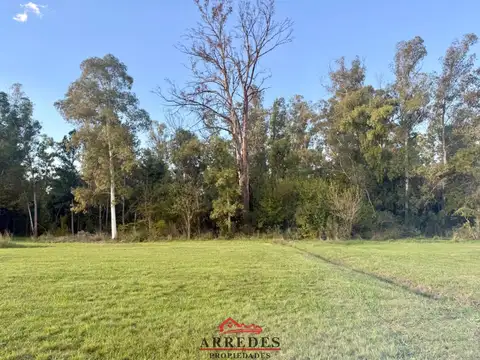 Venta · Campo de 4ha · Arbolado · Monte Hoffmann · Exaltación de la Cruz