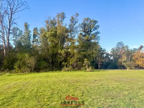 Venta · Campo de 4ha · Arbolado · Monte Hoffmann · Exaltación de la Cruz