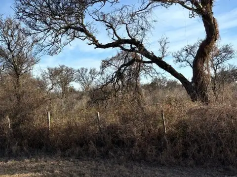 Terreno en Venta de 642,0 m2