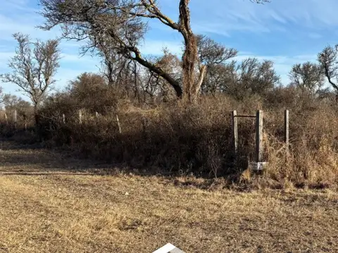 2 LOTES EN SAN IGNACIO