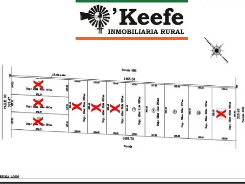 CHACRA EN VENTA HORTICOLA DE 4 Has. La Plata