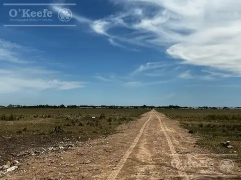Chacra Horticola en venta de 4 has en La Plata