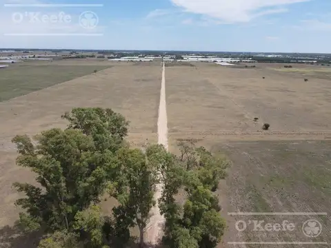 CHACRA EN VENTA HORTICOLA DE 4 Has. La Plata