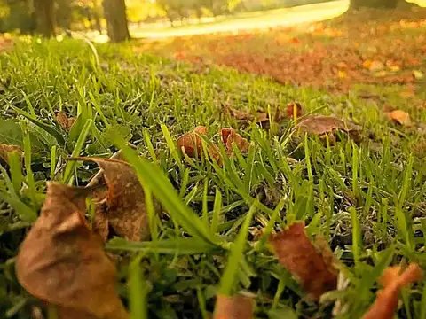 Terreno en Venta de 300,0 m2