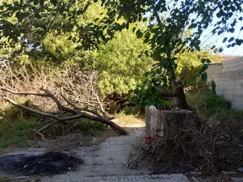 VENTA 3 LOCALES CON DEPTO JARDIN DEL PILAR