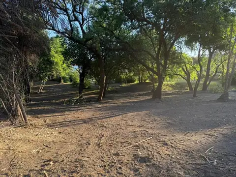 Las Margaritas Esquina Juan Pablo Ii