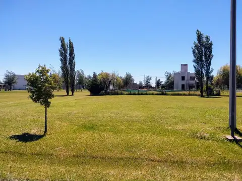 TERRENO EN VENTA PINARES DEL SUR - PIÑERO